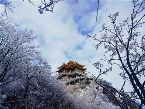 老君山邀你去赏雪